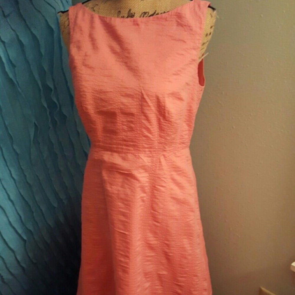 J Crew cotton dress